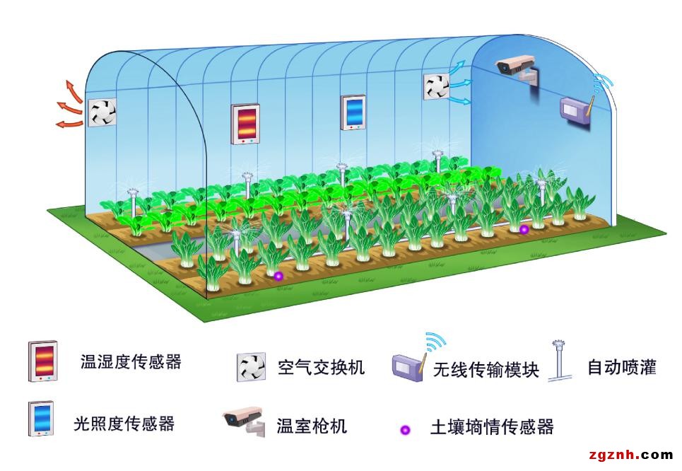 科技讓農(nóng)業(yè)綻放“智慧”之花